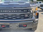 2024 Chevrolet Silverado 1500 Crew Cab 4WD, Pickup for sale #248170 - photo 13