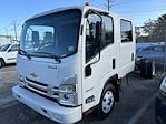 2024 Chevrolet LCF 3500HG Crew Cab RWD, Cab Chassis for sale #CN48976 - photo 5