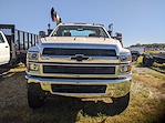 2024 Chevrolet Silverado 5500 Regular Cab DRW 4WD, Mechanics Body for sale #CR5586 - photo 3