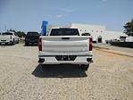 2024 Chevrolet Silverado 1500 Double Cab 4WD, Pickup for sale #R5304 - photo 10