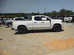 2024 Chevrolet Silverado 1500 Double Cab 4WD, Pickup for sale #R5304 - photo 12