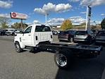 New 2024 Chevrolet Silverado 6500 Work Truck Regular Cab 2WD, Cab Chassis for sale #C50341 - photo 5