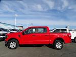 2023 Ford F-150 SuperCrew Cab 4x4, Pickup for sale #F2473 - photo 3