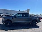 2024 Ford F-150 SuperCrew Cab 4x4, Pickup for sale #F3096 - photo 3