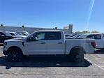 2024 Ford F-150 SuperCrew Cab 4x4, Pickup for sale #F3110 - photo 3