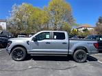 2024 Ford F-150 SuperCrew Cab 4x4, Pickup for sale #F3143 - photo 3