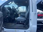 2025 Ford F-650 Regular Cab DRW 4x2, Dump Truck for sale #F3230 - photo 5