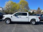 2024 Ford F-150 SuperCrew Cab 4x4, Pickup for sale #F3281 - photo 3