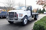 New 2024 Ford F-650 Base Regular Cab 4x2, 16' Scelzi WFB Flatbed Truck for sale #T23580 - photo 6