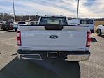 2023 Ford F-150 Regular Cab 4WD, Pickup for sale #T237377 - photo 4