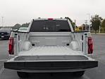 2024 Ford F-150 SuperCrew Cab 4WD, Pickup for sale #T247169 - photo 19