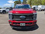2024 Ford F-350 Crew Cab SRW 4WD, Pickup for sale #T248125 - photo 8