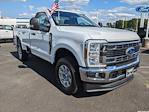 2024 Ford F-250 Regular Cab SRW 4WD, Pickup for sale #T248184 - photo 3