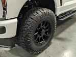 2024 Ford F-250 Crew Cab 4WD, Pickup for sale #T248216 - photo 8