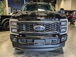 2024 Ford F-350 Crew Cab SRW 4WD, Pickup for sale #T248326 - photo 3