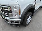 New 2024 Ford F-450 Crew Cab RWD, Service Truck for sale #T248433 - photo 14