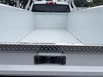 2023 Ram 2500 Crew Cab 4x4, Pickup for sale #2311094 - photo 11