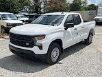 2024 Chevrolet Silverado 1500 Double Cab RWD, Pickup for sale #T14177 - photo 4