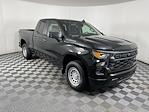 2024 Chevrolet Silverado 1500 Double Cab RWD, Pickup for sale #T14181 - photo 43