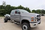 New 2024 Chevrolet Silverado 5500 Work Truck Crew Cab 4WD, Cab Chassis for sale #655186 - photo 5