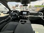 2023 Ford F-150 SuperCrew Cab 4WD, Pickup for sale #B31511 - photo 10