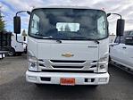 New 2024 Chevrolet LCF 4500HG Regular Cab 4x2, Cab Chassis for sale #6240059 - photo 3