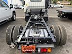 New 2024 Chevrolet LCF 4500HG Regular Cab 4x2, Cab Chassis for sale #6240059 - photo 6