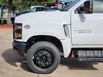 New 2023 Chevrolet Silverado 6500 Work Truck Regular Cab 4x2, Contractor Truck for sale #PH737870 - photo 13