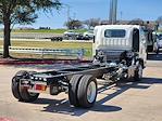 New 2024 Chevrolet LCF 5500XD Regular Cab 4x2, Cab Chassis for sale #R7306712 - photo 2