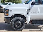 New 2024 Chevrolet Silverado 6500 Work Truck Regular Cab 4x2, Cab Chassis for sale #RH378693 - photo 12