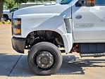 New 2024 Chevrolet Silverado 6500 Work Truck Regular Cab 4x4, Cab Chassis for sale #RH469406 - photo 8