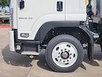 2024 Chevrolet LCF 6500XD Regular Cab 4x2, Morgan Truck Body Gold Star Box Truck for sale #RSA01874 - photo 13