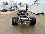 2024 Chevrolet LCF 5500XD Regular Cab 4x2, Cab Chassis for sale #25977T - photo 5