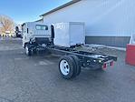 New 2024 Chevrolet LCF 5500XD Base Regular Cab 4x2, Cab Chassis for sale #25989T - photo 4