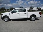 New 2024 Ford F-150 XL SuperCrew Cab RWD, Pickup for sale #RT1038 - photo 5