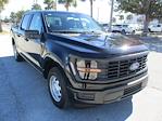 New 2024 Ford F-150 XL SuperCrew Cab RWD, Pickup for sale #RT1069 - photo 1