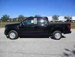 New 2024 Ford F-150 XL SuperCrew Cab RWD, Pickup for sale #RT1069 - photo 7