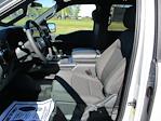 New 2024 Ford F-150 STX SuperCrew Cab RWD, Pickup for sale #RT1134 - photo 17