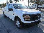 New 2024 Ford F-150 XL SuperCrew Cab RWD, Pickup for sale #RT1171 - photo 1