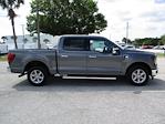 2024 Ford F-150 SuperCrew Cab RWD, Pickup for sale #RT294 - photo 8