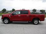 2024 Ford F-150 SuperCrew Cab RWD, Pickup for sale #RT311 - photo 5