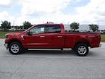 2024 Ford F-150 SuperCrew Cab 4WD, Pickup for sale #RT528 - photo 5