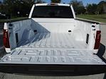 New 2024 Ford F-150 STX SuperCrew Cab RWD, Pickup for sale #RT952 - photo 24