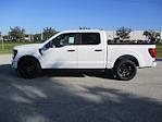 New 2024 Ford F-150 STX SuperCrew Cab RWD, Pickup for sale #RT952 - photo 7