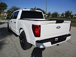 New 2024 Ford F-150 STX SuperCrew Cab RWD, Pickup for sale #RT952 - photo 3