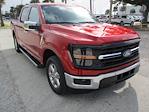 New 2024 Ford F-150 XLT SuperCrew Cab RWD, Pickup for sale #RT971 - photo 1