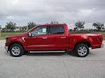 New 2024 Ford F-150 XLT SuperCrew Cab RWD, Pickup for sale #RT971 - photo 7