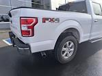 2019 Ford F-150 SuperCrew Cab 4x4, Pickup for sale #W4362A - photo 2