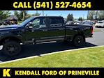 2024 Ford F-250 Crew Cab 4x4, Pickup for sale #W4535 - photo 12