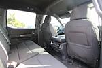 2024 Ford F-150 SuperCrew Cab 4x4, Pickup for sale #RN30170 - photo 21